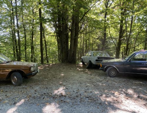 Winter Trial 2022 Route Check